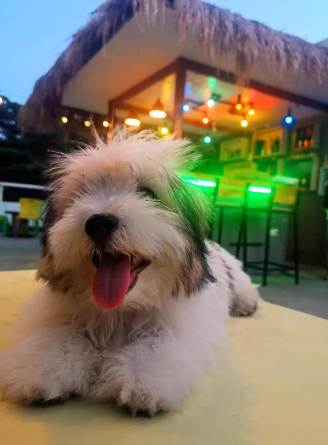 Antwet Backpacker'S Inn & Rooftop Bar Dumaguete City Zewnętrze zdjęcie